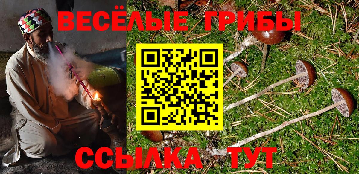 Фролово  Галлюциногенные грибы мухоморы  Вход с VPN 